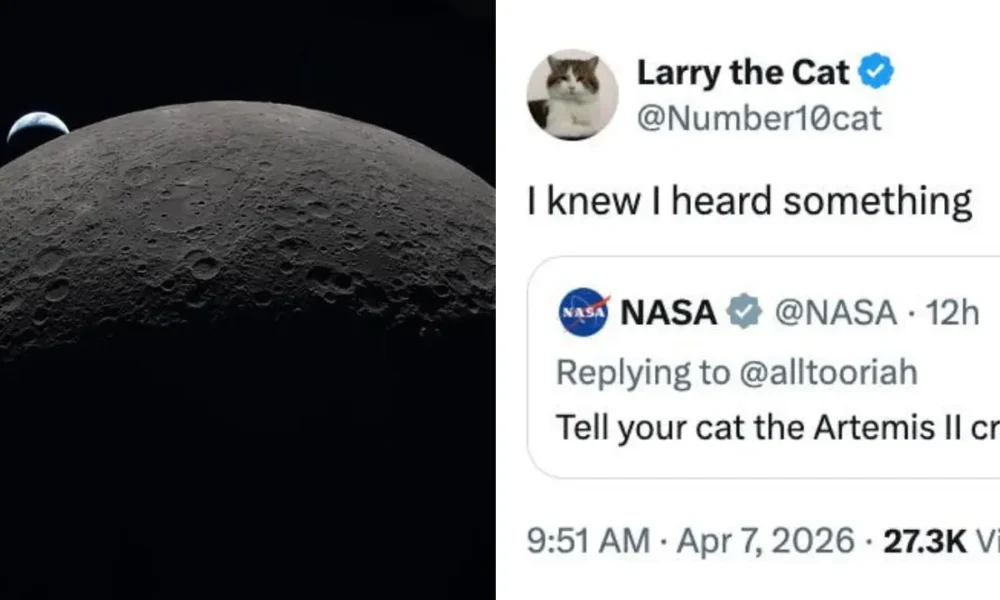 cold smooth tasty 14