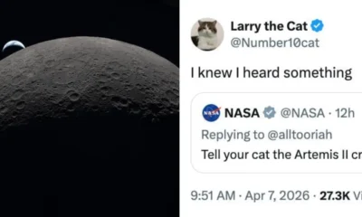 cold smooth tasty 14