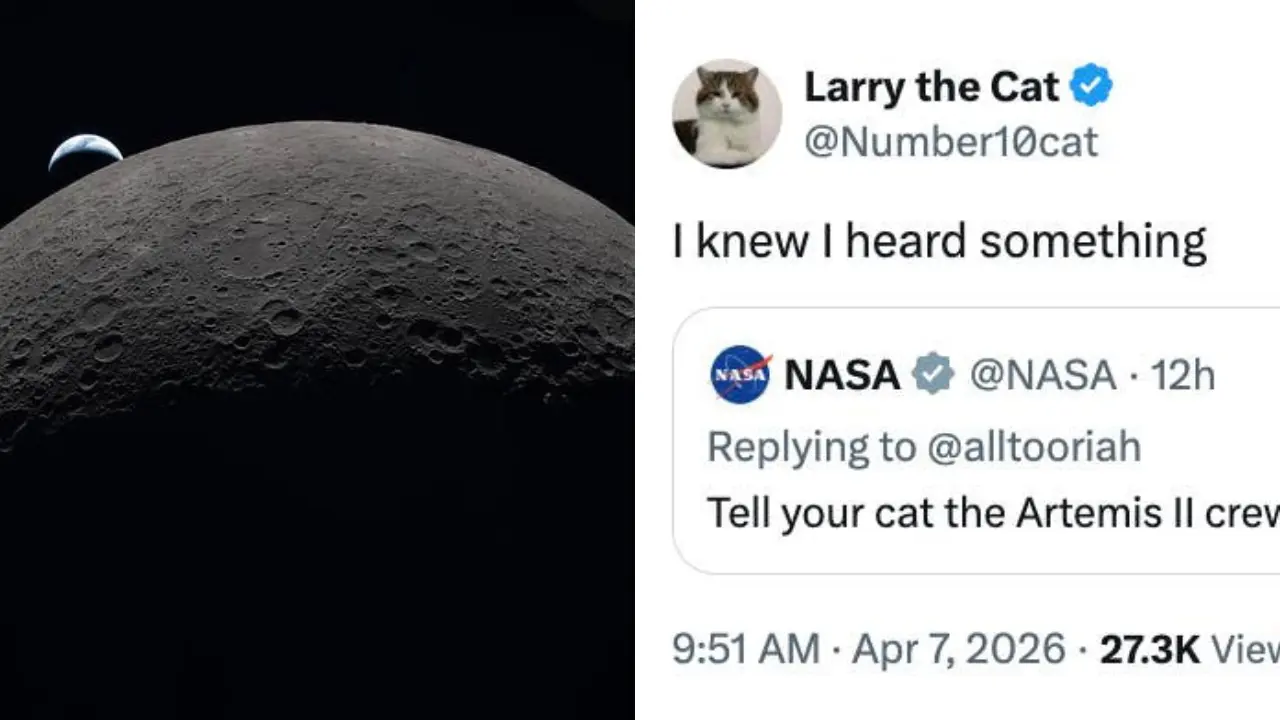 cold smooth tasty 14