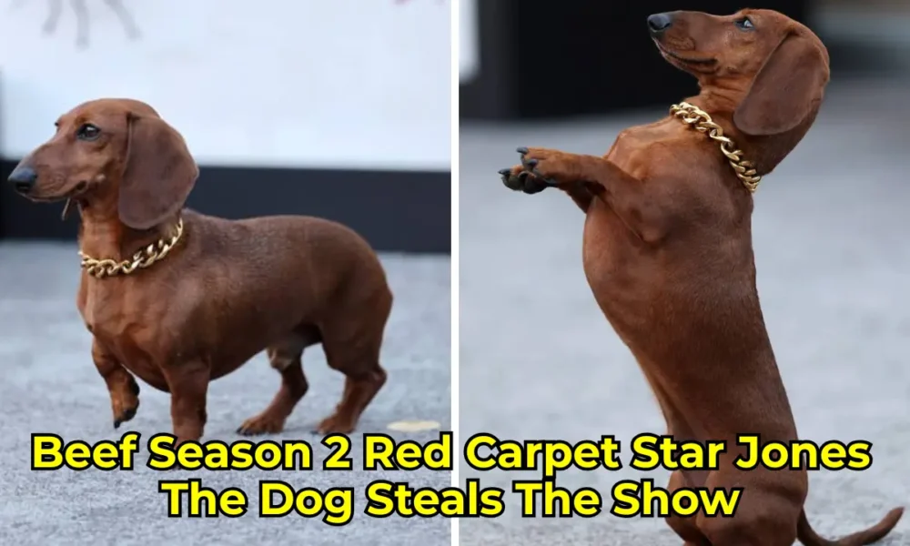 cold smooth tasty 23