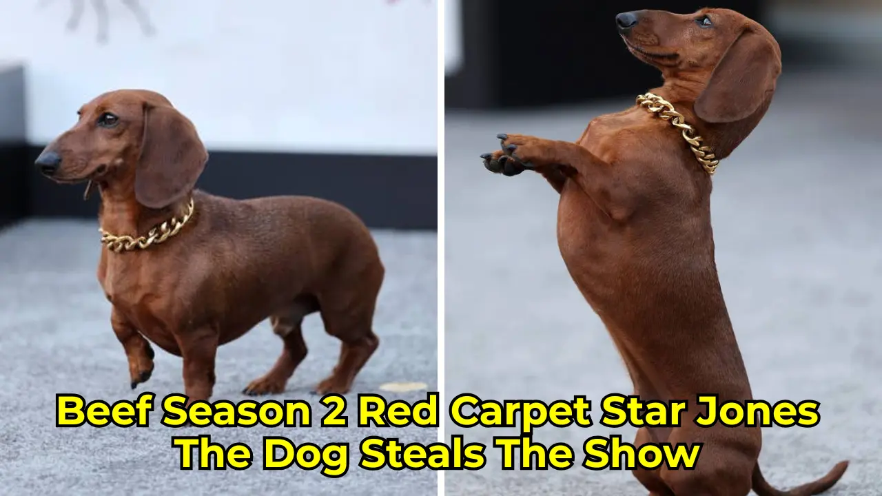 cold smooth tasty 23