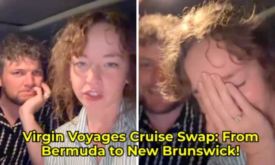 cold smooth tasty 32