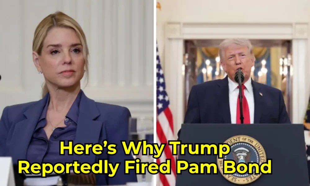 hmmbfa1sfbbf6gnogrk8