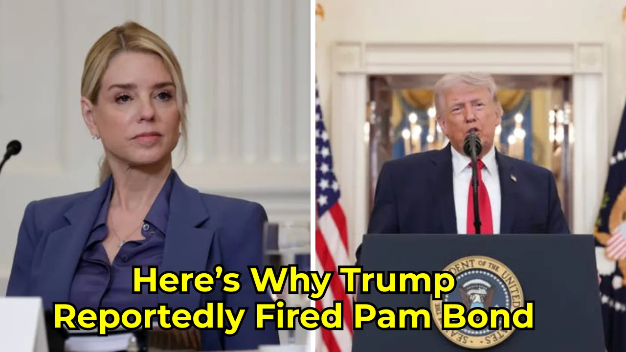 hmmbfa1sfbbf6gnogrk8