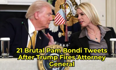 vf3orfhh1zl6anuvluzr