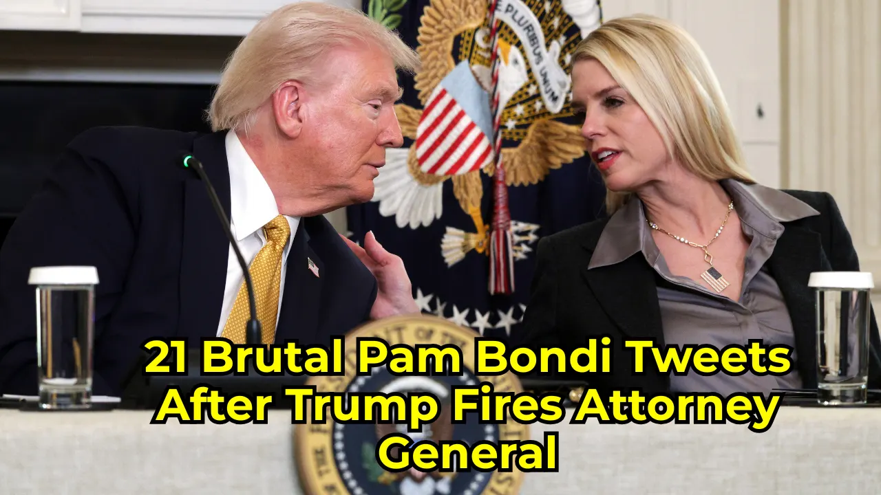 vf3orfhh1zl6anuvluzr