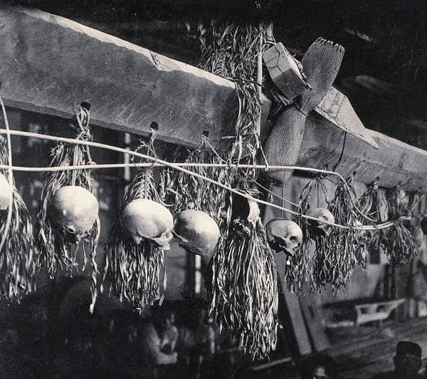 historical human skulls hanging from beam