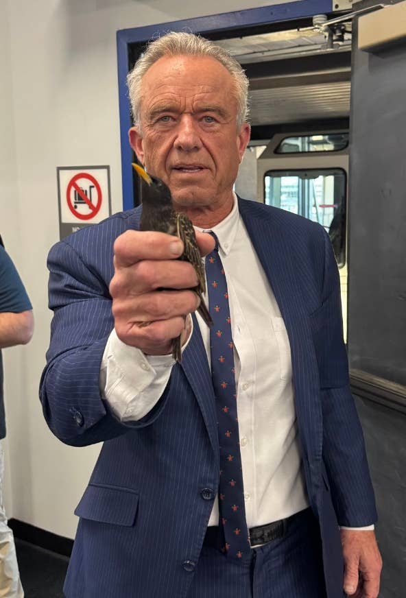rfk jr suit holding small bird