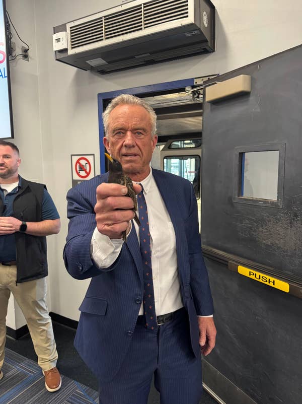 robert f kennedy jr holding bird airport